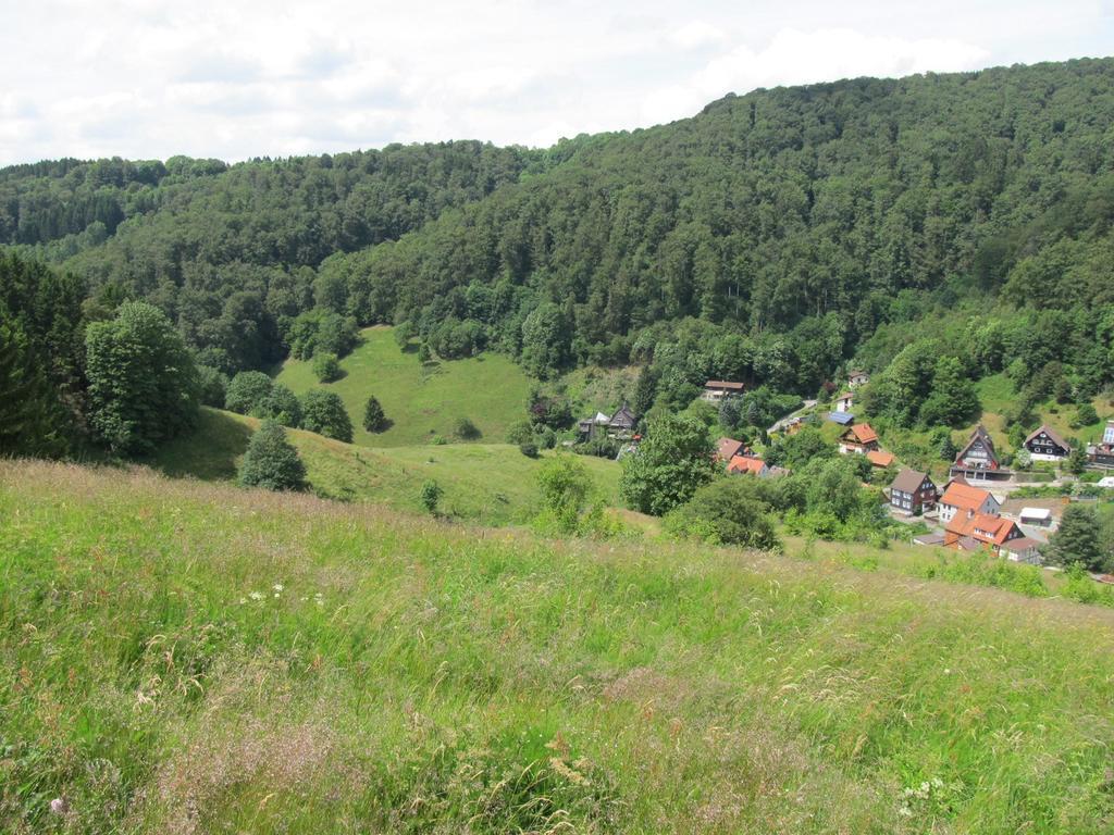 Apartamento Hexenstieg House Lerbach Osterode am Harz Exterior foto