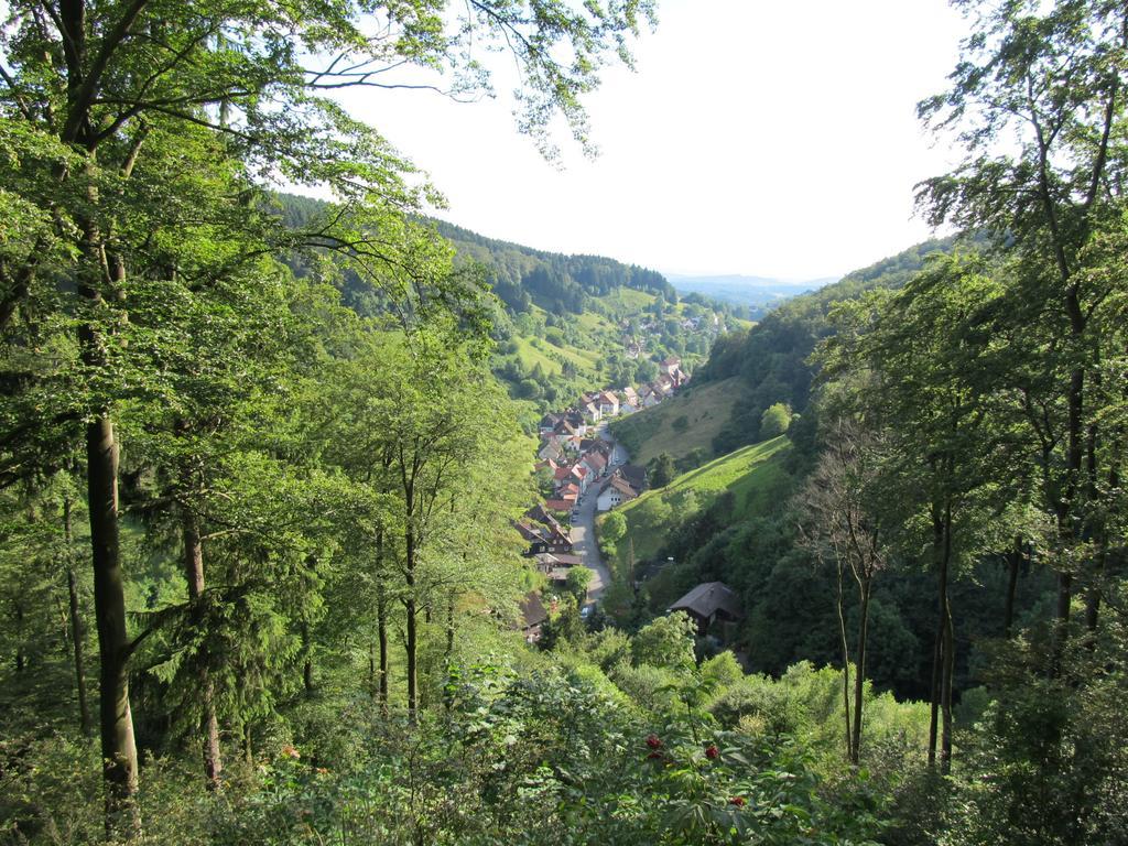 Apartamento Hexenstieg House Lerbach Osterode am Harz Exterior foto
